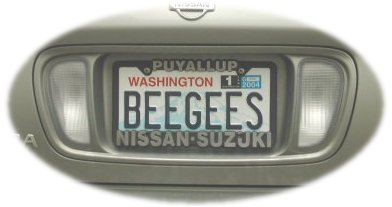 The BeeGeesMobile - Picture 2
