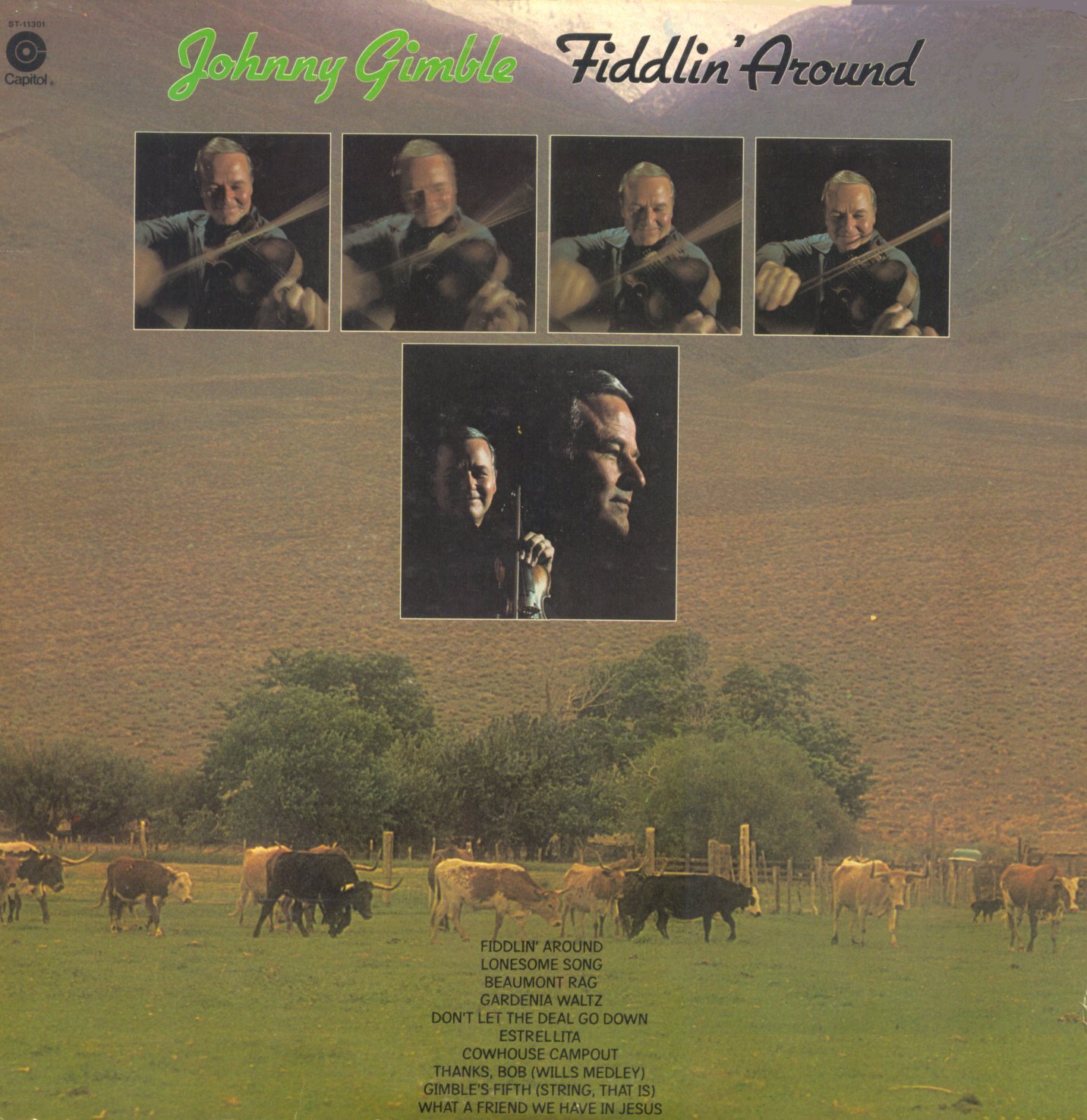 Album Image